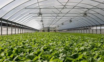 Extrusion Lamination Machines Agriculture & Horticulture